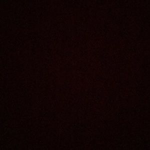 Meet your Posher, Izzy